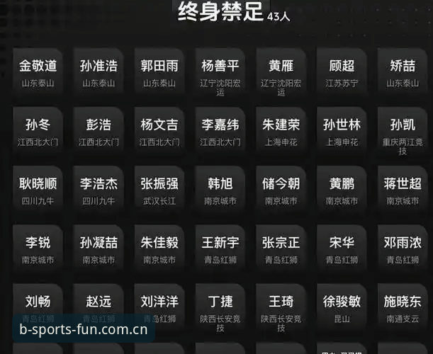 b体育app 中国足协重拳整治:解读第三批禁足名单背后的五大实用要点